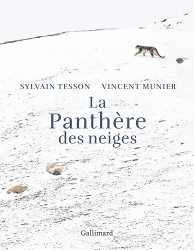 Sylvain Tesson, adventurer writer, receives the Renaudot 2019 prize for his  book La panthère des neiges / The snow leopard published by Gallimard. Sylvain  Tesson went to Tibet with Vincent Munier, a
