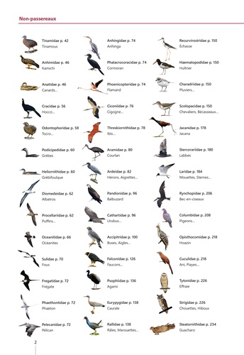 Guide expert des oiseaux de Guyane. Manuel d'identification
