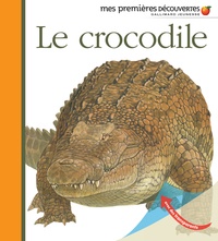 Sylvaine Peyrols - Le crocodile.
