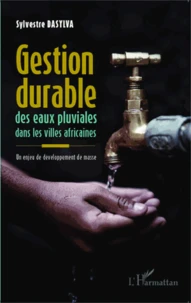 Gestion durable des eaux pluviales dans les villes africaines