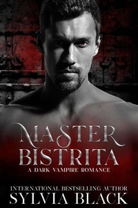 Master Bistrita