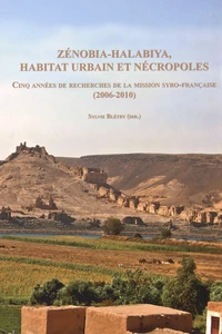 Zénobia-Halabiya, habitat urbain et nécropoles