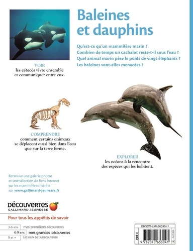 Baleines et dauphins