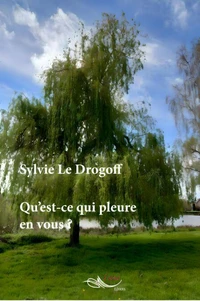 Qu'est-ce qui pleure en vous ?