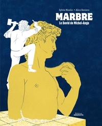 Marbre - Le David de Michel-Ange.pdf