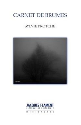 Sylvie Protche - Carnet de brumes.