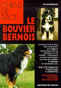 Le bouvier bernois