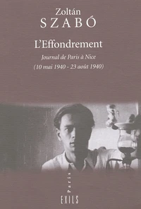 L'Effondrement. Journal De Paris A Nice (10 Mai 1940 - 23 Aout 1940)