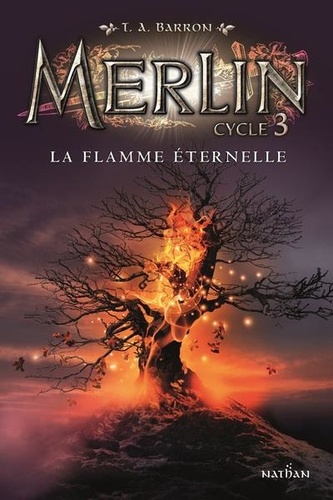 Merlin Tome 3 La flamme éternelle