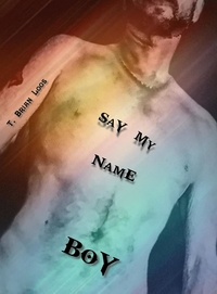  T. Brian Loos - Say My Name Boy.