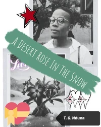 A  Desert Rose In The Snow