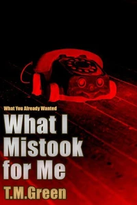 What I Mistook For Me