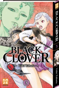 Rassemblement à la cité royale