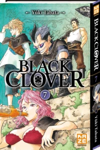 L'assemblée des capitaines