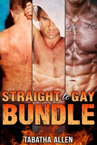 Straight to Gay Bundle