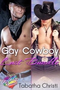 Gay Cowboy Lust Bundle