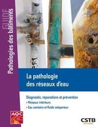 La pathologie des réseaux d'eau
