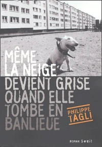 Même la neige devient grise quand elle tombe en banlieue