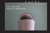 Cacti