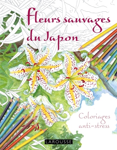 Takako Honda - Fleurs sauvages du Japon - Coloriages anti-stress.