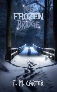  Takara M. James et  Takara M. Carter, MPR - The Frozen Bridge - A Detective Rooks Series, #1.