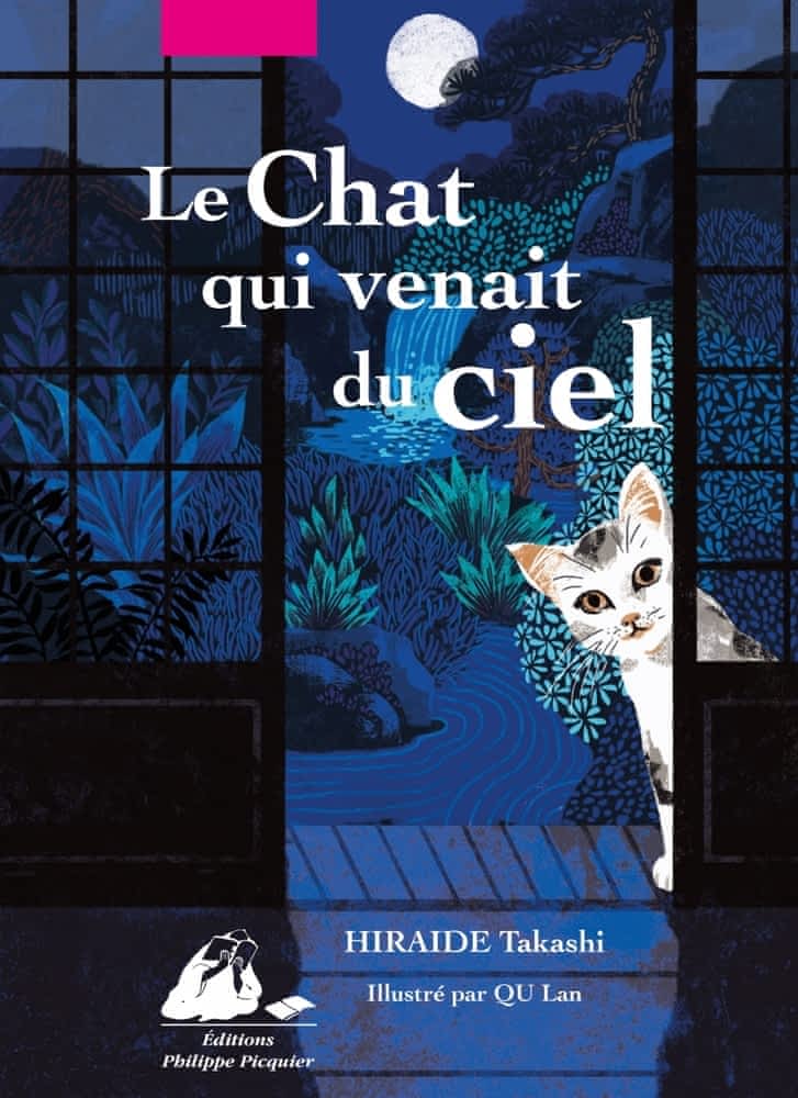 Le  chat qui venait du ciel : roman