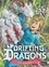 Drifting Dragons Tome 3