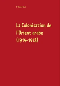 La colonisation de l'orient arabe (1914-1918)