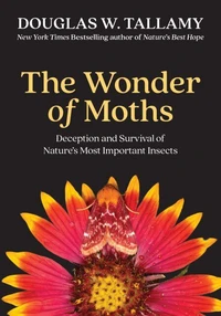 The Wonder of Moths