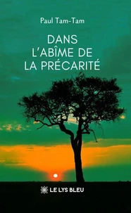 Dans l'abîme de la précarité