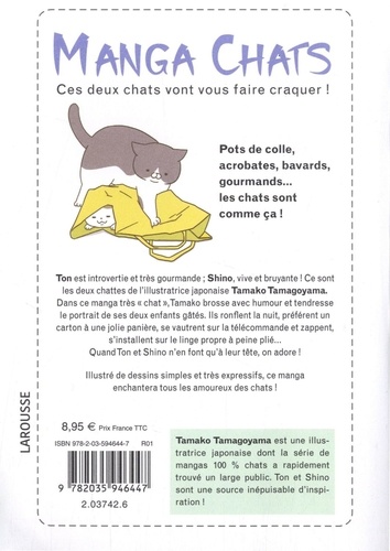 Manga chats. Ces deux chats vont vous faire craquer