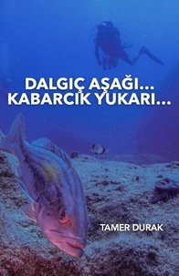Diver Down... Bubble Up