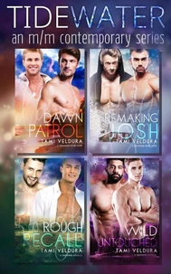 Tidewater: A Contemporary M/M Romance Collection