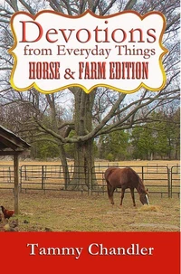 Devotions from Everyday Things: Horse &amp; Farm Edition