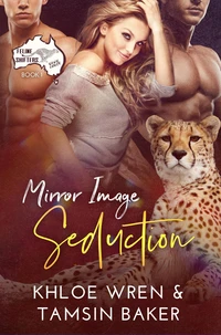 Mirror Image Seduction