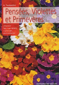 Les pensées, les violettes et les primevères