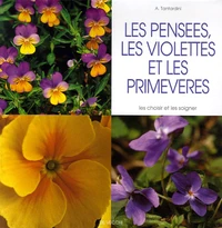 Les pensées, les violettes et les primevères