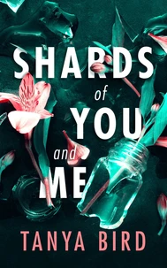 Shards of You and Me
