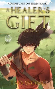 A Healer's Gift: A LitRPG Adventure