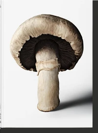 The Gourmand's Mushroom. A Collection of Stories & Recipes