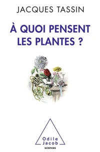 A quoi pensent les plantes ?