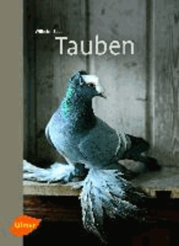 Tauben.