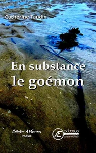 En substance le goemon