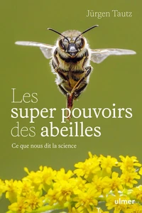 Les super-pouvoirs des abeilles