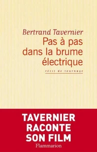 Pas à pas dans la brume électrique