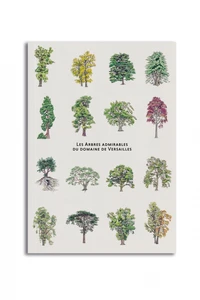Les arbres admirables du domaine de Versailles