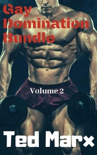 Gay Domination Bundle: Volume 2