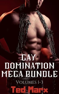 Gay Domination Mega Bundle: Volumes 1-3
