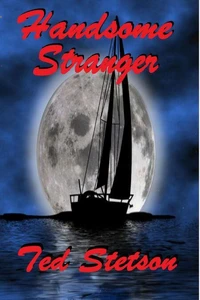 The Handsome Stranger