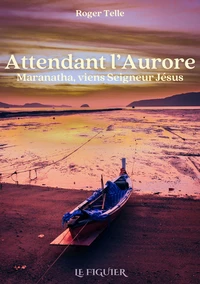 Attendant l'aurore